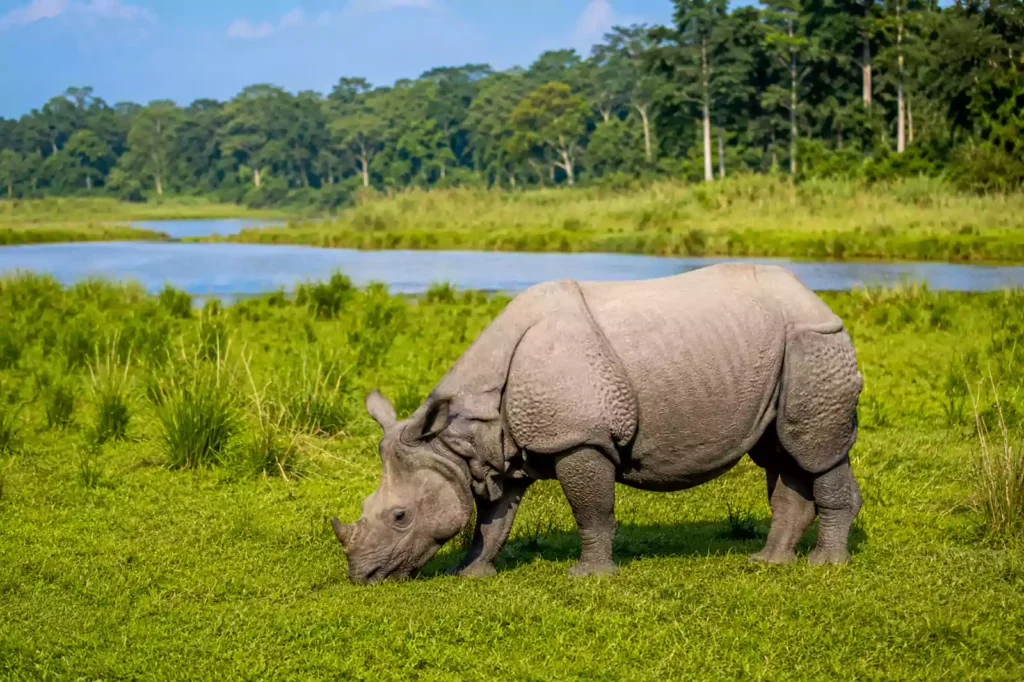 Best Places to Visit in Nepal