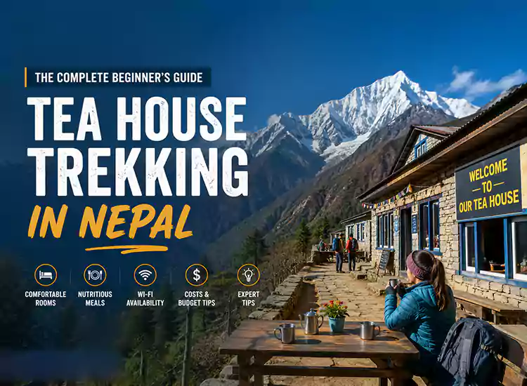 Tea House Trekking in Nepal: The Complete Beginner’s Guide