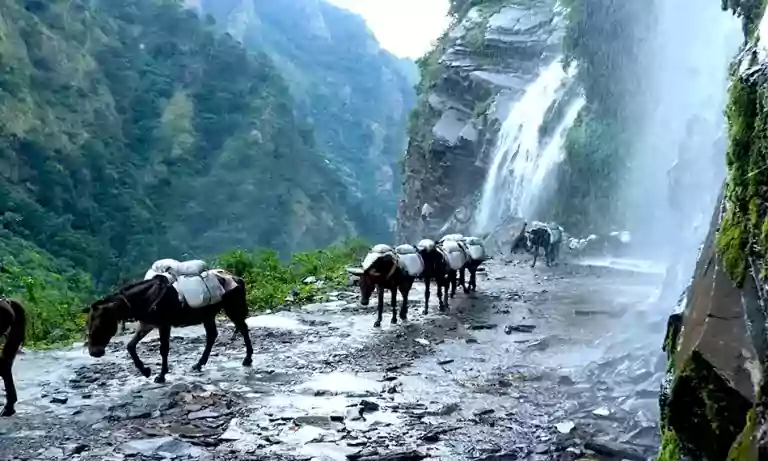 Annapurna Circuit Trek – 16 Days