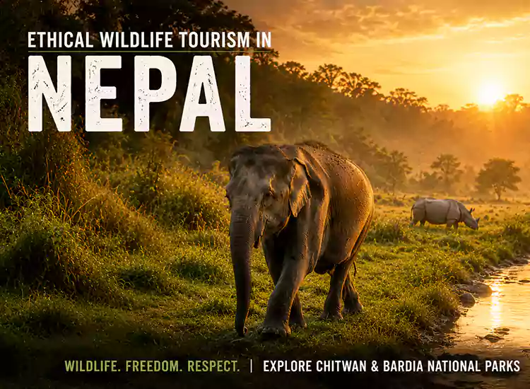 Why Nepal Footprint Holiday Stopped Elephant Safari in Nepal