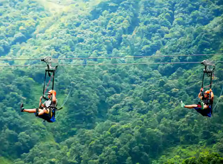 Zip Flying