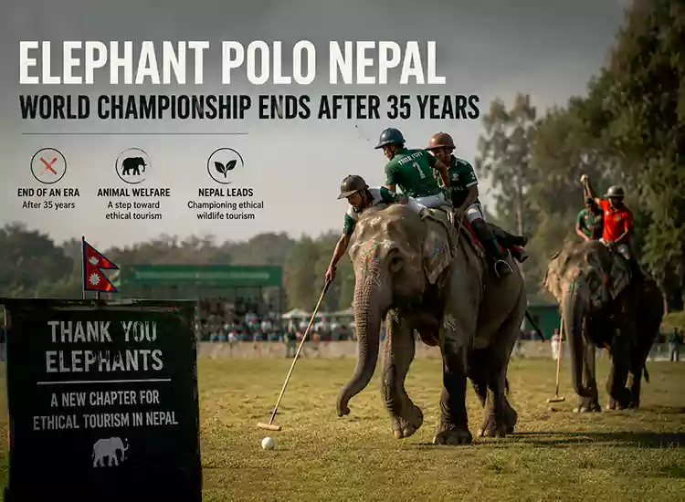 Elephant Polo Nepal — World Championship Officially Ends After 35 Years