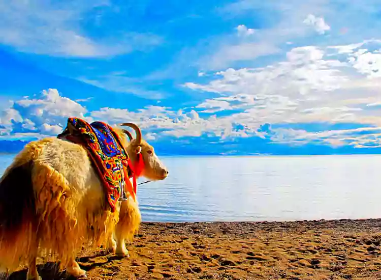 Kathmandu to Lhasa Overland Tour
