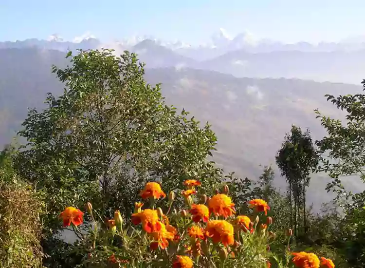 Yoga Trek Nepal