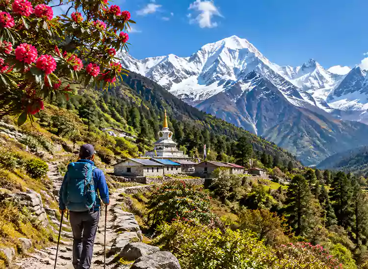 Langtang National Park Nepal: Wildlife, Trekking and Travel Guide