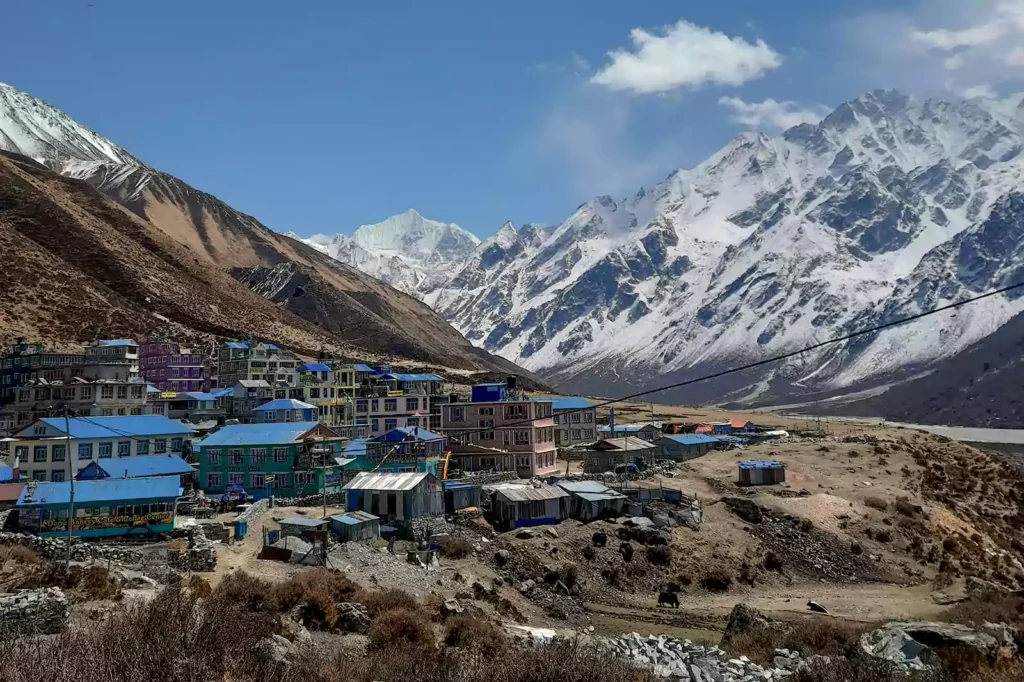 Panoramic view of Kyanjin Gompa and traditional teahouses nestled against massive snow-capped Himalayan peaks on the Langtang Valley Trek.