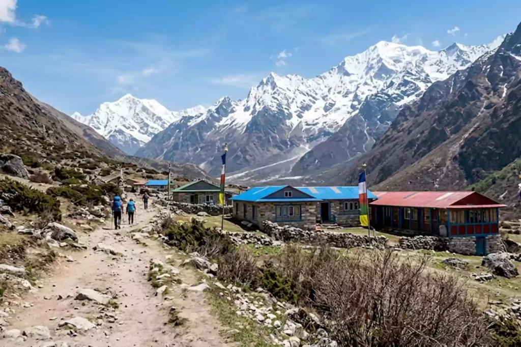 Colorful prayer flags and teahouses along the Langtang Valley trail with massive Himalayan peaks in the background.