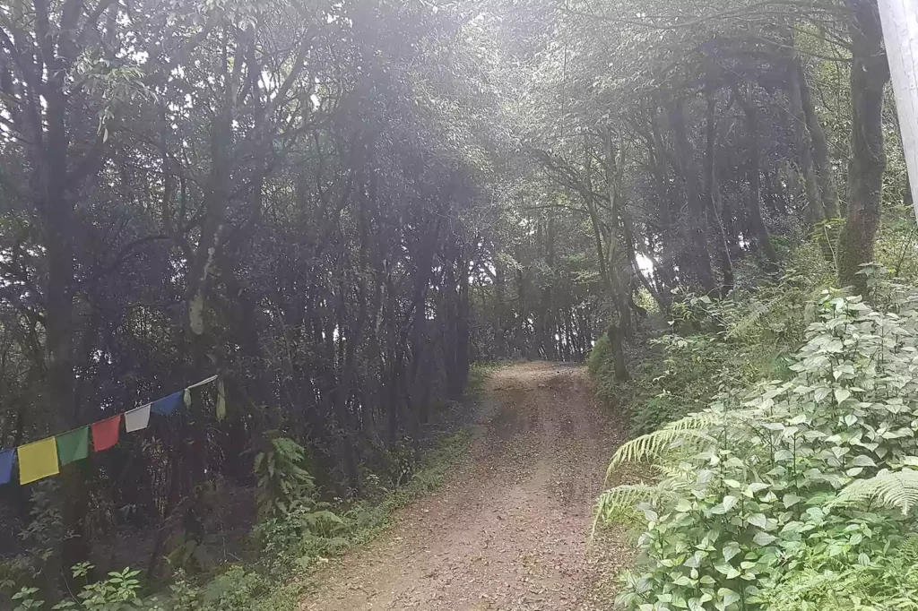 Nagarkot hiking trail on the Nagarkot to Changu Narayan day hike near Kathmandu