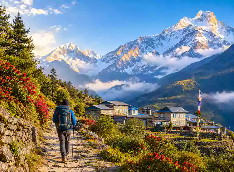 Nepal Trekking Guide: Routes, Costs, Permits & Preparation